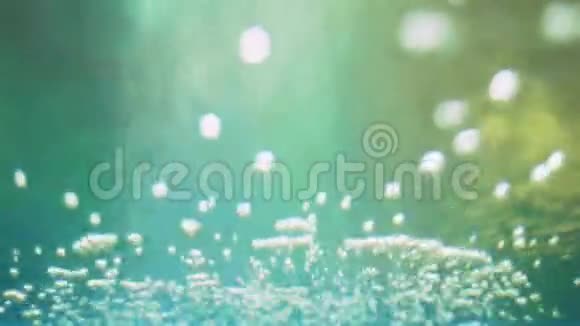 水族馆里的气泡视频的预览图