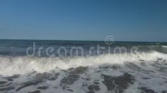 从一只鸟的飞行中海浪视频的预览图