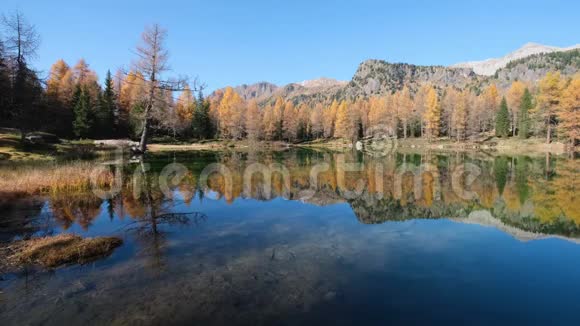 秋湖附近的圣佩莱格里诺帕斯特伦蒂诺多洛米斯阿尔卑斯山意大利视频的预览图