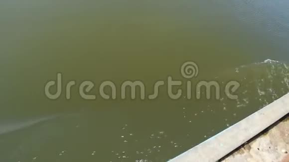 越南河上流动的水视频的预览图
