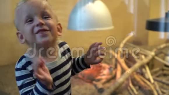 兴奋的男孩在灯光下看着凶猛的动物平衡运动焦点变化视频的预览图
