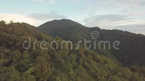 阳光明媚的一天热带雨林在山上空中观景近景视频的预览图