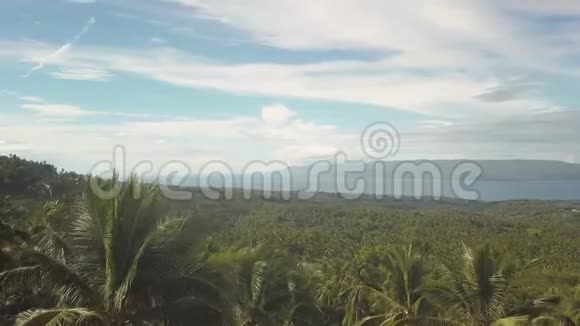 乡村热带岛屿雨林山上的风景天桥视频的预览图