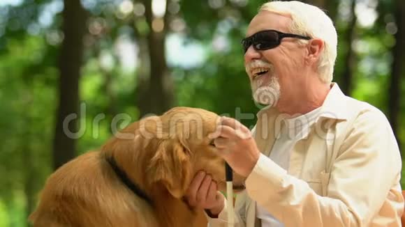 有视力障碍的善良男人宠物导盲犬坐在公园的长凳上视频的预览图
