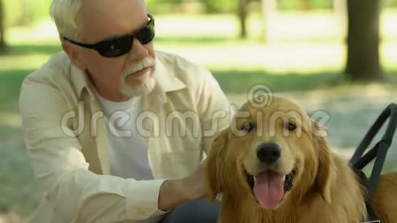 盲人主人喂养和抚摸他的导盲犬最好的朋友和帮助视频的预览图