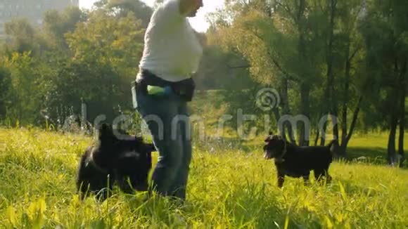 中年妇女和黑色拳击犬视频的预览图