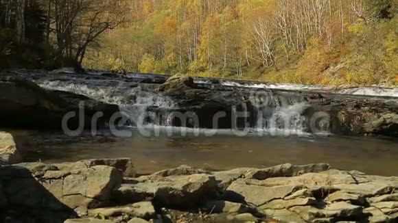 低矮的瀑布和一条带溪流的山河映衬着秋山视频的预览图