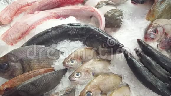 在鱼贩店的冰床上陈列许多品种新鲜鱼视频的预览图