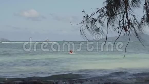 塞舌尔普拉斯林岛可爱的金发女人在清澈的蓝色水中远离背景热带树视频的预览图