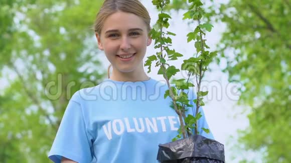 可爱的金发女人在公园的镜头里抱着树苗微笑生态志愿者视频的预览图