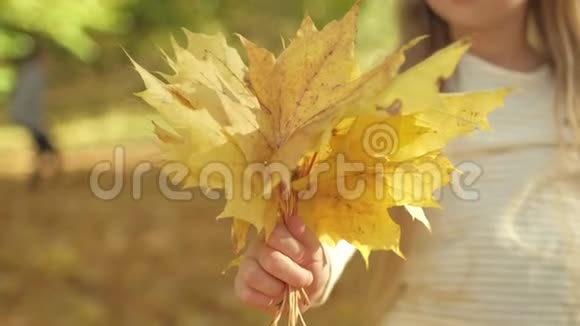 小女孩在公园里的阳光明媚的秋日休息时把一束黄叶送给相机视频的预览图