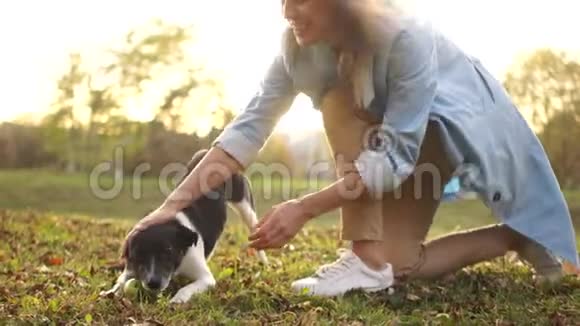美丽的女人带着小男孩和狗在户外狗抓住苹果咀嚼它视频的预览图