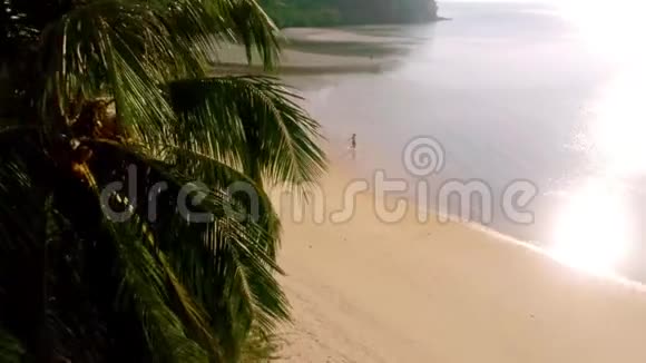 热带天堂岛风景中的沙滩线旁的女性剪影视频的预览图