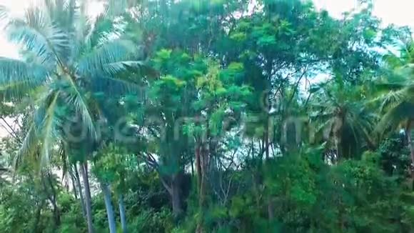 热带隐逸海滩的鸟瞰图01视频的预览图