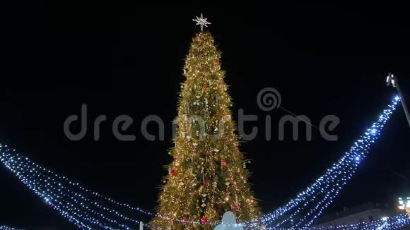 圣诞树在城市广场上视频的预览图