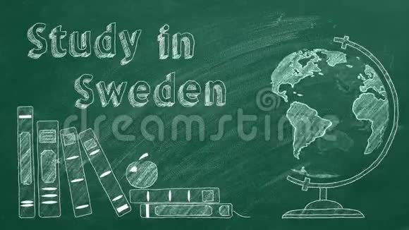 在瑞典学习视频的预览图
