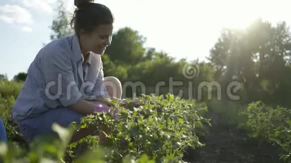 美丽的年轻白种人妇女在户外花园里戴手套工作视频的预览图