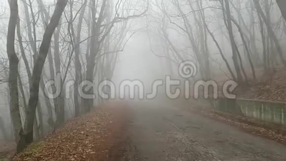 缓慢小心地穿过危险的雾蒙蒙的公园一条柏油路穿过森林里浓雾恐惧的气氛视频的预览图