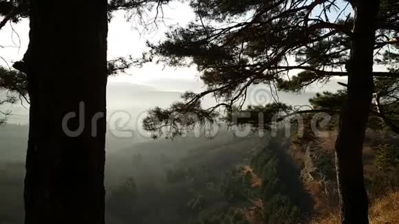 秋季观基斯洛沃茨克公园针叶树的树干全景观山田野森林中的阴霾埃尔布鲁斯山视频的预览图