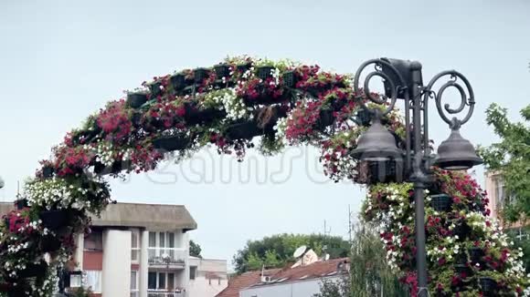 市中心美丽的花卉装饰视频的预览图