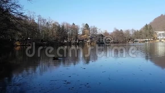 宁静的景观一只鸟漂浮在清澈湖泊的镜面上秋天的散步视频的预览图