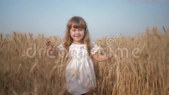 小麦产量季节快乐的微笑女孩跑过粮田与相机伸出双臂滑动她视频的预览图