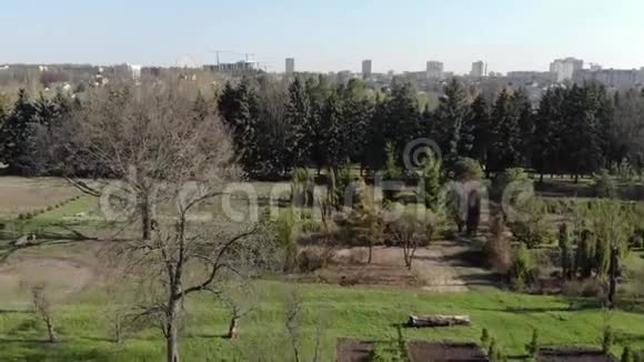 城市里的春天花园视频的预览图