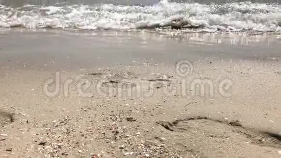 一家人沿着海滨散步母亲和孩子的腿沿着海滩散步视频的预览图
