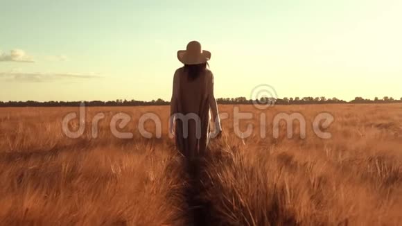 戴着草帽的女农民漫步在农村的田野麦秋视频的预览图