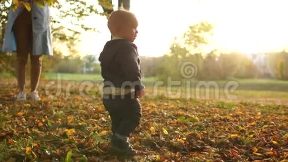 幼儿和妈妈一起沿着秋天的落叶在公园里散步妈妈和宝贝公园里秋天的日落视频的预览图
