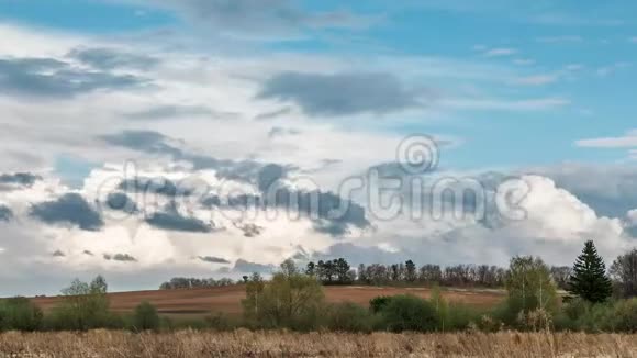 乡村景观树野和云动视频的预览图