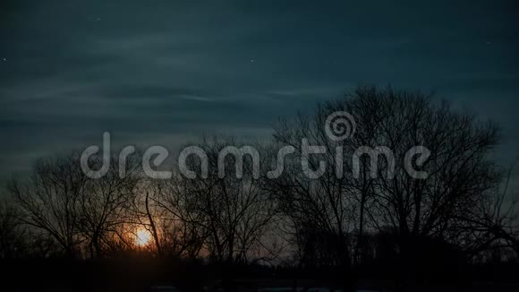 午夜的树有一轮明亮的满月视频的预览图