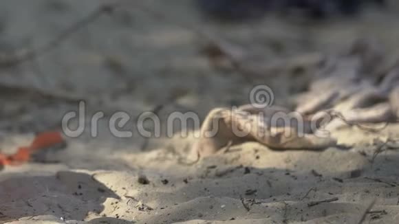 废弃海滩上的救生衣飞机失事或沉船后死亡灾难视频的预览图