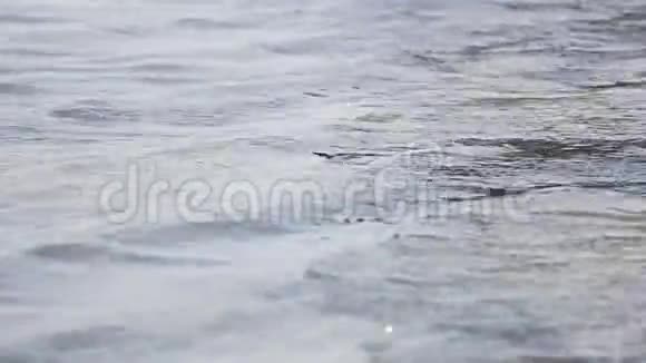 水中的柔波视频的预览图