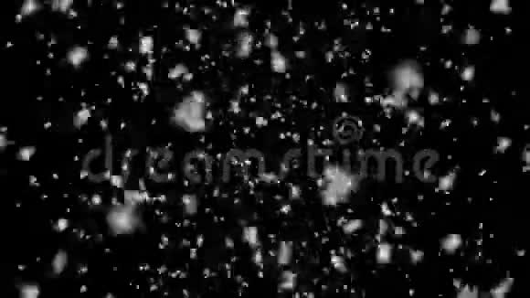 高质量的运动动画雪落在黑色背景上25fps顶部视图视频的预览图