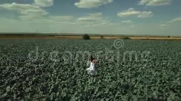 从无人驾驶飞机周围射击一个年轻的女孩快乐地穿过一片田野用手触摸小麦的耳朵美丽的关怀视频的预览图