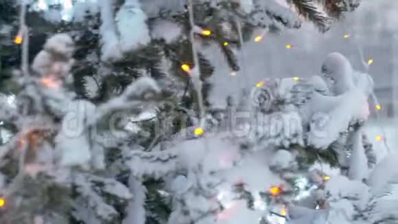 在户外的在雪地里视频的预览图