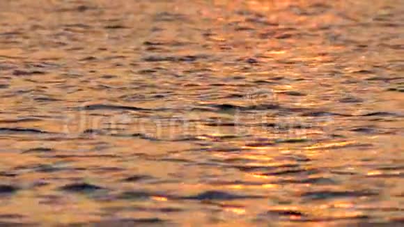 海水背景海面上的小浪海面背景平静的海水月亮在水中反射日落视频的预览图