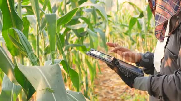 农民带来技术帮助农业视频的预览图