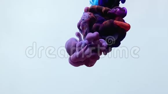 慢动作的蓝色红色和紫色水彩油墨旋转美丽并混合在水中视频的预览图