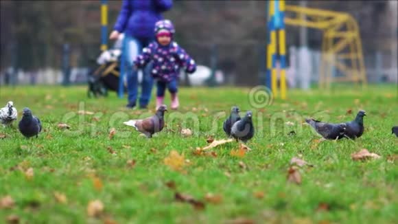 秋日一个小孩在公园里朝鸽子跑去视频的预览图