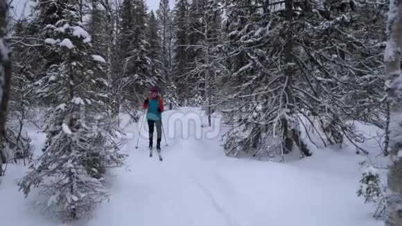 滑雪巡回赛在白雪皑皑的冬林里带着滑雪板的女人芬兰视频的预览图
