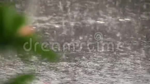 雨季雨水落在地上视频的预览图