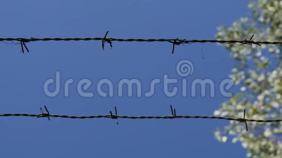 禁止出入区边界用带刺铁丝网的金属围栏视频的预览图