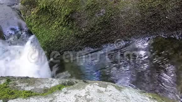 小瀑布从上面的特写哈泽尔河深兰多哈弗吉尼亚视频的预览图