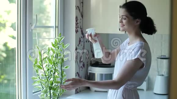 年轻的女人照顾家里的植物视频的预览图