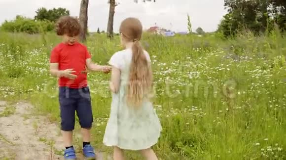 暑假嬉戏的男孩和女孩在草地上散步快乐的哥哥姐姐在绿色的草坪上玩视频的预览图