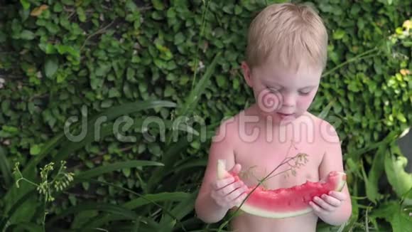 男孩夏天在院子里吃西瓜小孩子在度假吃水果视频的预览图