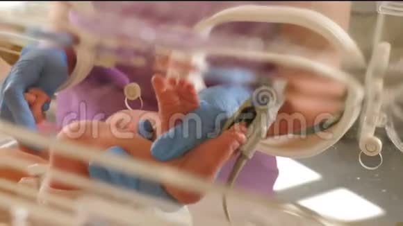 新生儿重症监护室与婴儿腿和脚相连的ICU培养箱传感器和管新生活视频的预览图