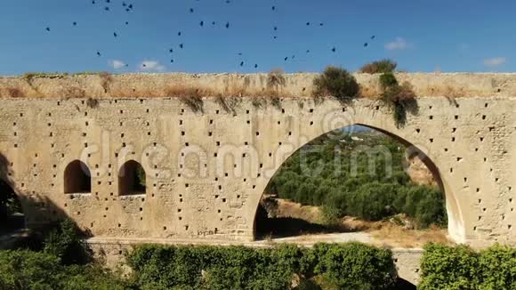 古运河老桥乌鸦飞来视频的预览图